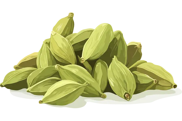cardamon